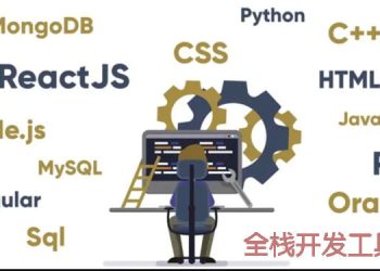 What Happens When Segmentation Faults?