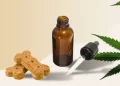 What does CBD oil do for canines?