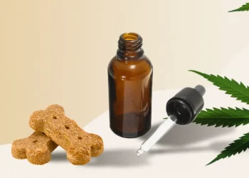 What does CBD oil do for canines?