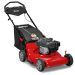 What to consider before buying a Lawn Mower