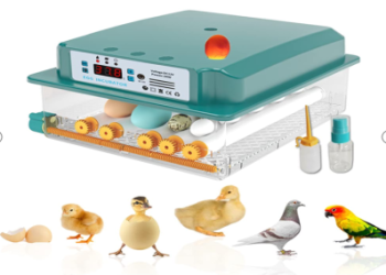 Using an Egg Incubator; Tips on Selection and Care of the Eggs