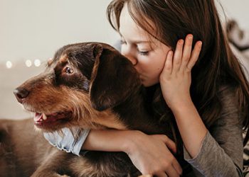 End of Life Pet Care at Home