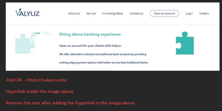 Valyuz Review – a Dedicated IBAN Account Provider that Gives Businesses an Edge