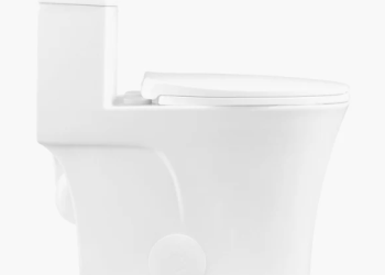 The Benefits of Choosing a 10 Inch Rough In Toilet for Your Home