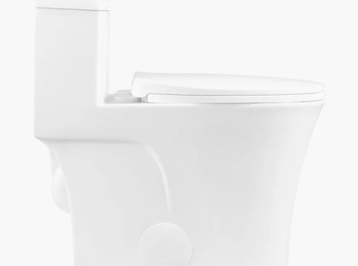 The Benefits of Choosing a 10 Inch Rough In Toilet for Your Home