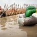 Get More Info on Advanced Decoys for Every Hunting Scenario