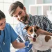 The Benefits Of Regular Checkups With A General Veterinarian