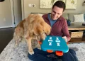 Best Chew Toys and Enrichment Ideas for Golden Retrievers