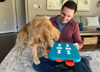 Best Chew Toys and Enrichment Ideas for Golden Retrievers