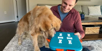 Best Chew Toys and Enrichment Ideas for Golden Retrievers