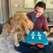 Best Chew Toys and Enrichment Ideas for Golden Retrievers